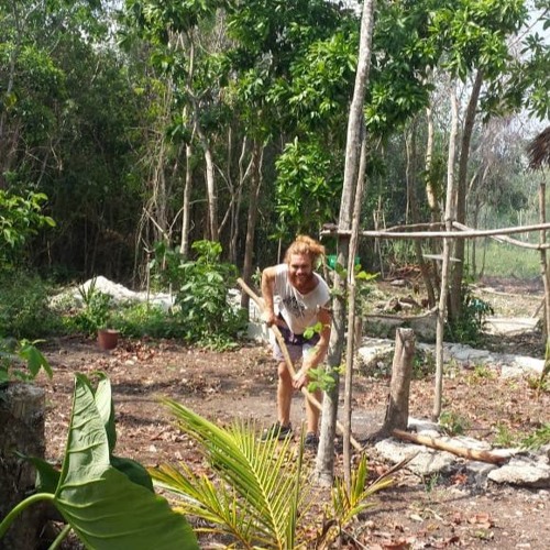 Stream Andrew Nahko Cover Budding Trees by Arcarbone Listen online