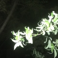 wasting all of my time