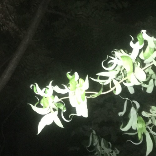 wasting all of my time