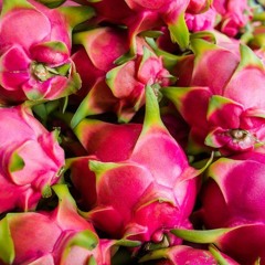 Dragonfruit