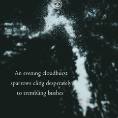 sparrows in the rain (Naviarhaiku 236)