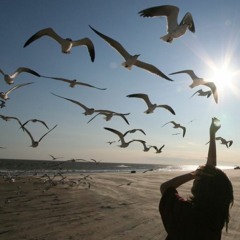 I'm like a Bird Piano Cover