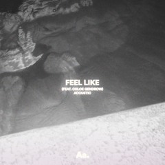 Feel Like (Feat. Chloe Gendrow) [Acoustic]