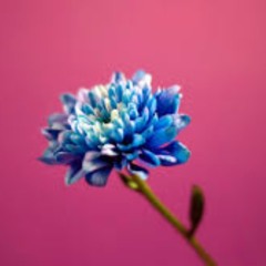 [FREE] juice WRLD Type Beat 'Lavender' Free Trap Beat 2018