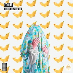 FOOLiE - Trippy Dolphin (SWT#018)