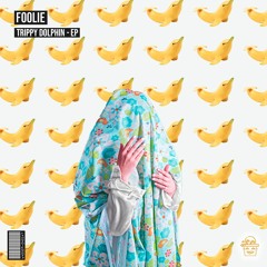 FOOLiE - Recall (SWT#018)