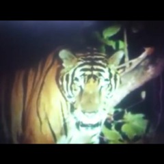 Me Rehúso (BA Edit)