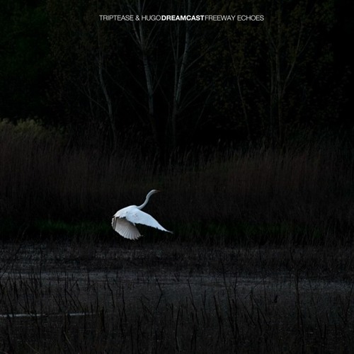 #039 Triptease & Hugo -  Freeway Echoes