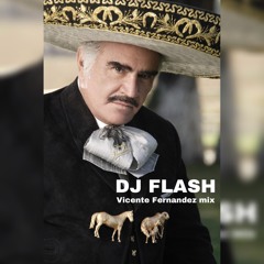Vicente Fernandez  Mix