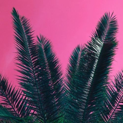 ★ Electronic - Oriental ★