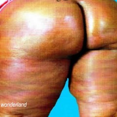 WONDERLAND (lemons from the milk man) ft. XANMAN