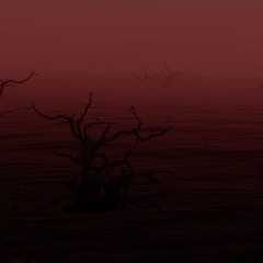 The Undying Flame (Negative Talk OST) - Nabeel Zubair