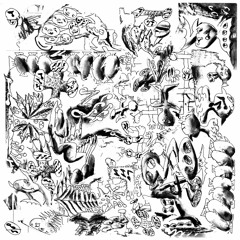 Nonlocal Society - Latiaxis Mawae / Kuupuu - Jään alle