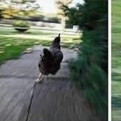 Is this what metal sounds like ???