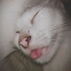 i'm not drunk......yet~