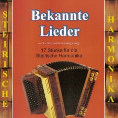 Kleiner Harmonikaspieler
