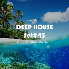 DEEP HOUSE SET#45 (AY)