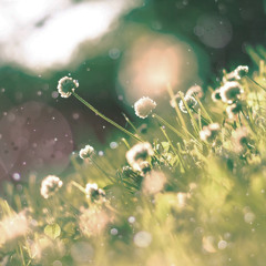 Spring Time