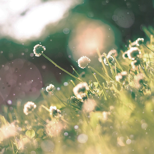 Spring Time