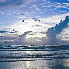 making a cheerful noise!