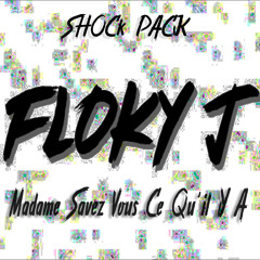 FLOKY J - Madame savez vouz ce quil y  a (Remix)