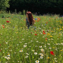 Darling Flower Mix1