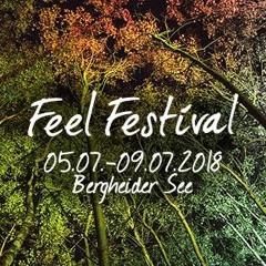 @ Feel Festival 2018 - with Live E-Guitar by Malte Fried