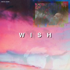 wish (ft. hashir)