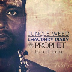 Pristine feat. Craig R.Ninjah - Jungle Weed (Prophet Bootleg)(Free Download)