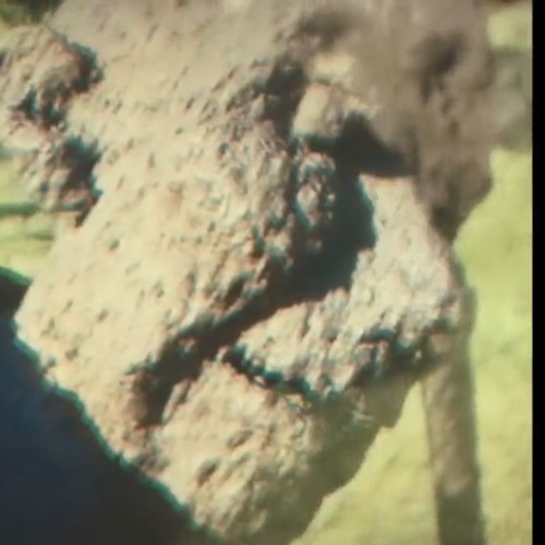 جوان صفدي- أخطبوط  Octopus- Produced by Asifeh