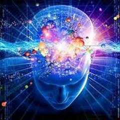 Ozora 2026: The Dome (Psychill: Top 600)