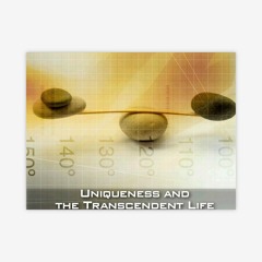 Uniqueness and the Transcendent Life - Excerpt