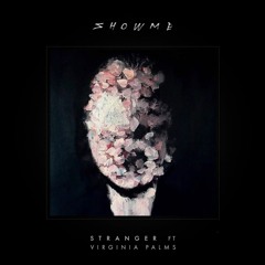 Stranger (feat. Virginia Palms)