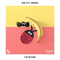 Big Z - I'm On Fire (ft. Ameria)🍉