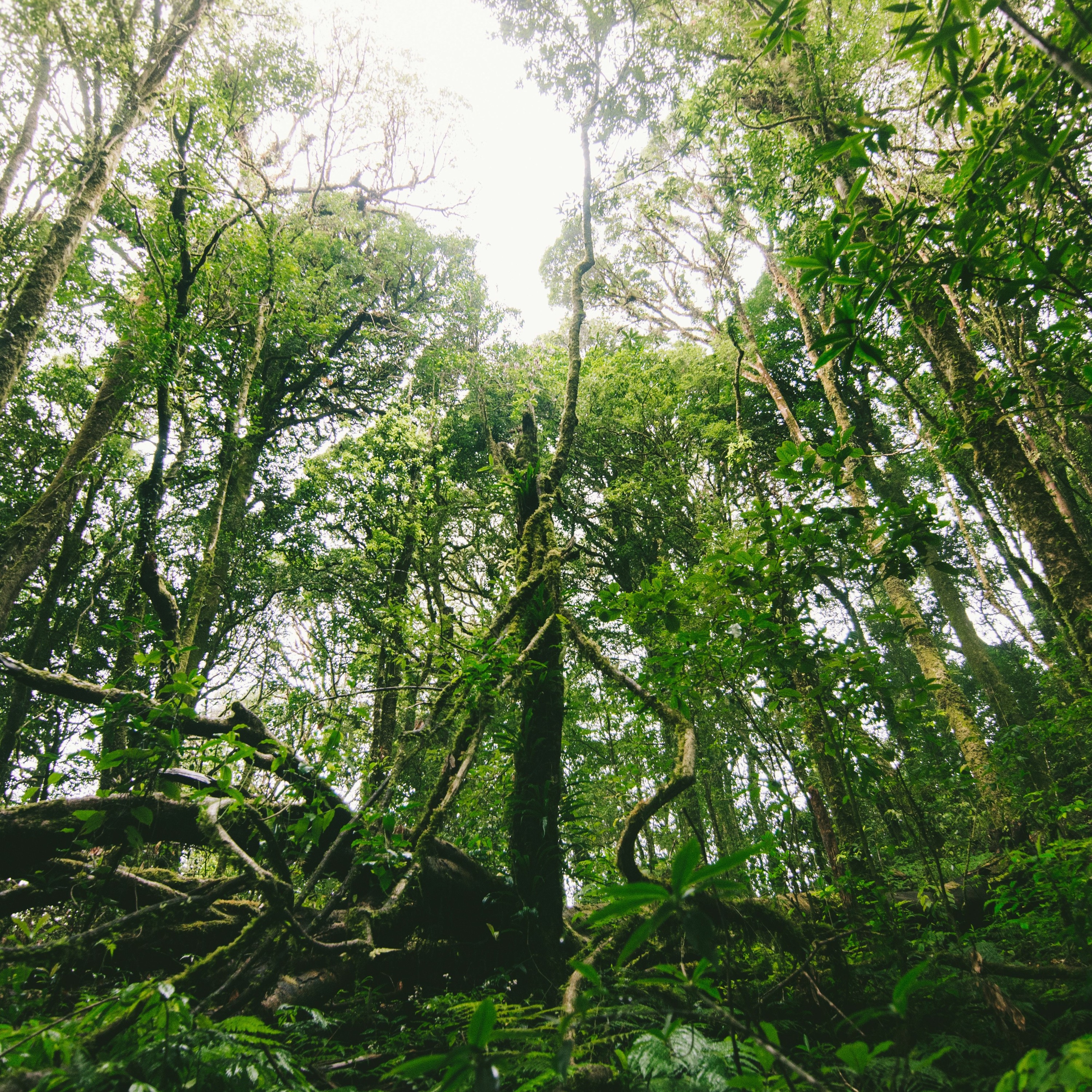 EcoJustice Radio