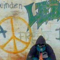 Zomboy VS Dion Timmer & Excision VS Crystalize - Lights Out (OCCIFER Mash-Up)