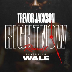 Right Now (Remix)[feat. Wale]