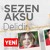 Artwork for Sezen Aksu - Delidir