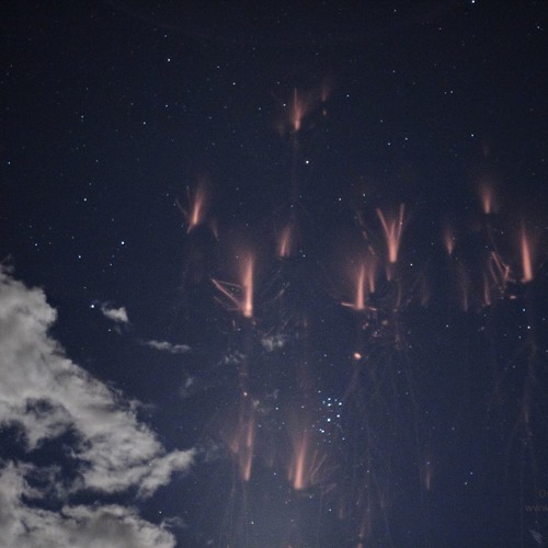 Jellyfish Sprite (ProgrockDan collaboration)