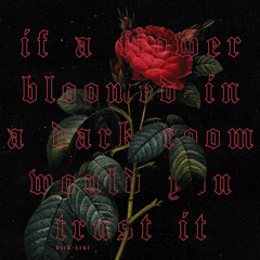 A Flower in a Dark Room