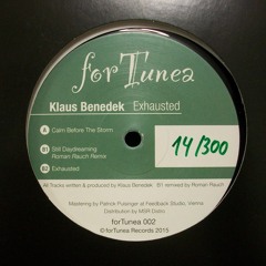 PREVIEW // A - Klaus Benedek "Calm Before The Storm"
