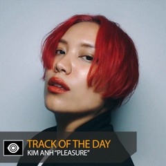 Track of the Day: Kim Anh “Pleasure”