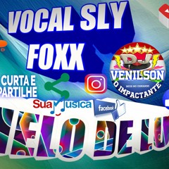 MELO DE LUA 2018  SLY FOXX DJ VENILSON O IMPACTANTE 2018