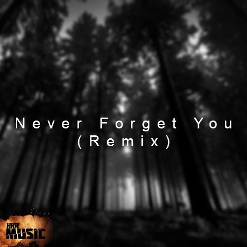 Pelmel Boekhouding laden Stream Zara Larsson - Never Forget You (Price Takis Remix) 【 HKR Music 】 by  HKR Music | Listen online for free on SoundCloud