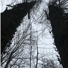 Dariusz Wojciech Michalak & Glenn Zen / Swiety Szczyt