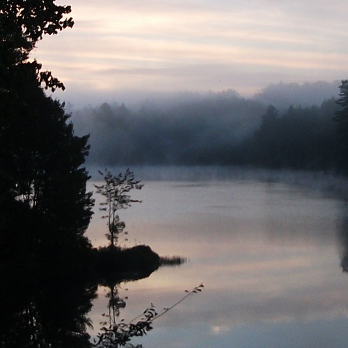 NIGHTFALL