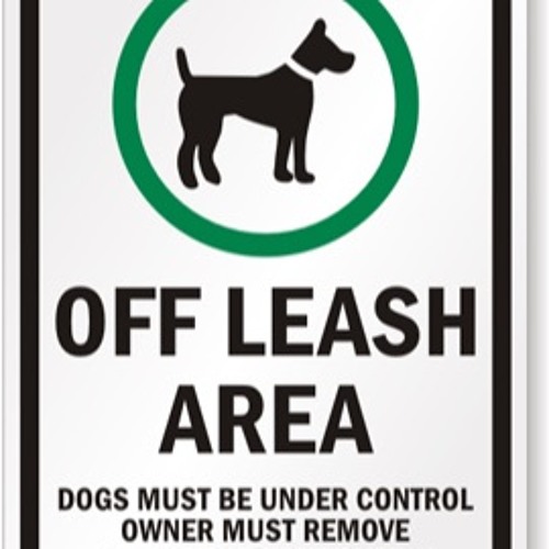 Stream No leash by Study Group Listen online for free on SoundCloud