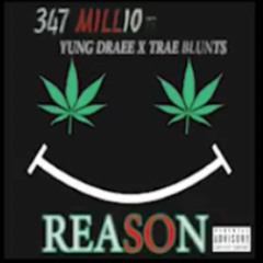 347 Millio ft Yung Draee x Trae Blunts - Reason