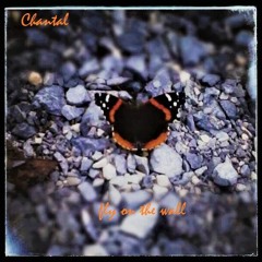 Fly On The Wall - Chantal