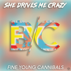 She Drives Me Crazy (Bad Color Remix)